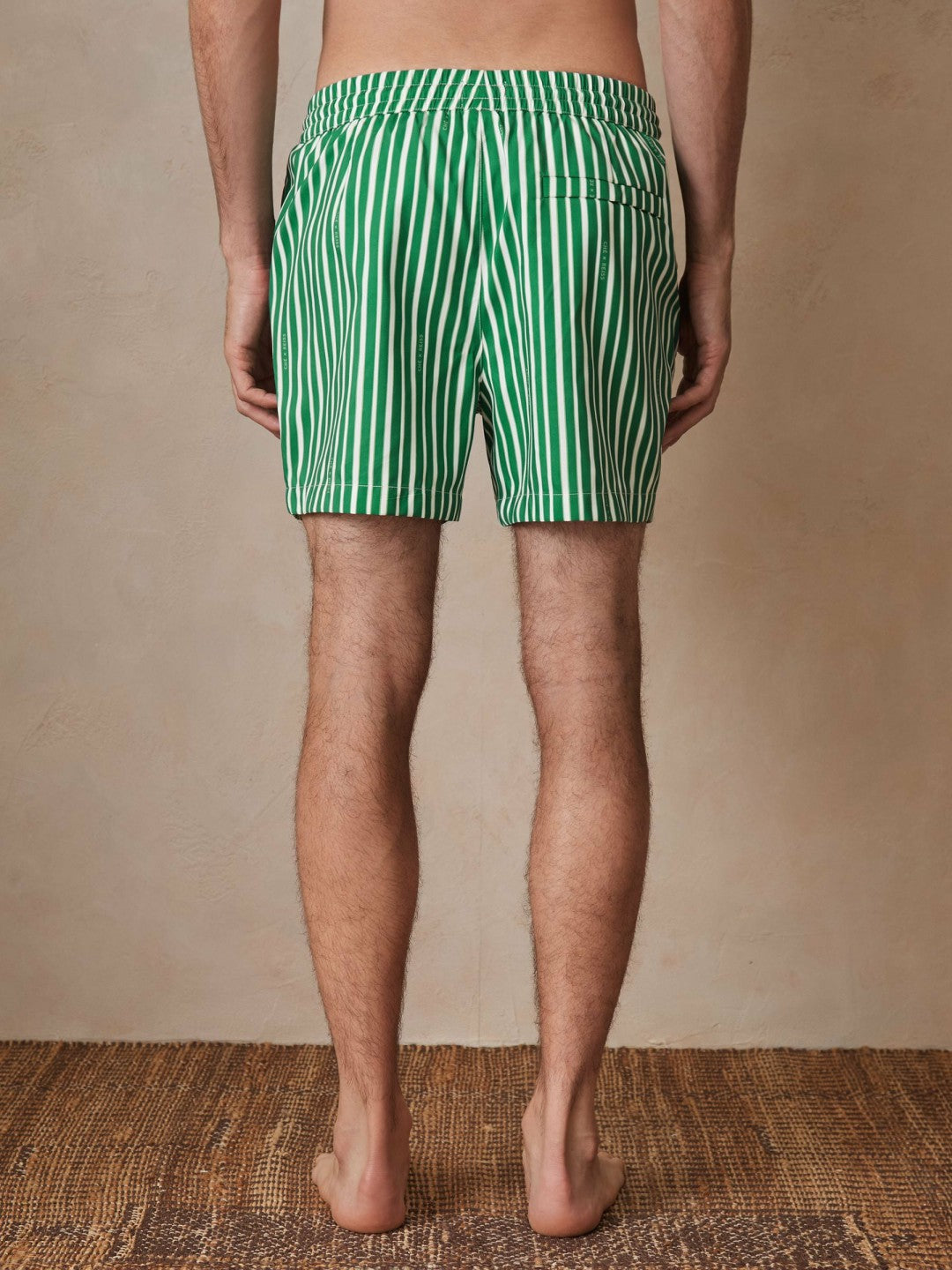 Reiss | Ché Stripe Swim Shorts in Green/White