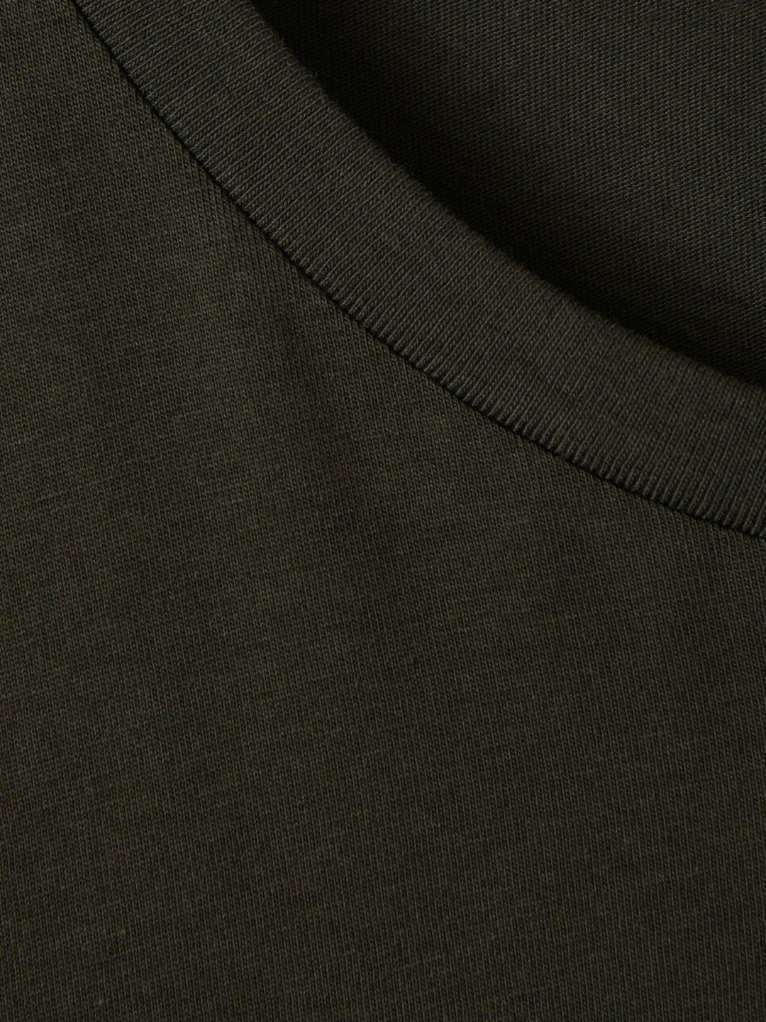 Reiss Cotton Crew Neck T-Shirt in Oxidised Green