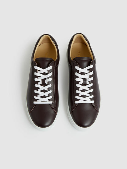 Reiss Leather Low-Top Trainers in Plum Purple