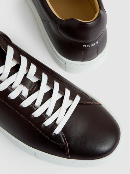 Reiss Leather Low-Top Trainers in Plum Purple