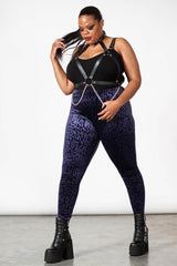 Women Velvet | Killstar Caturday Leggings [PLUM]