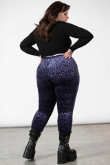 Women Velvet | Killstar Caturday Leggings [PLUM]